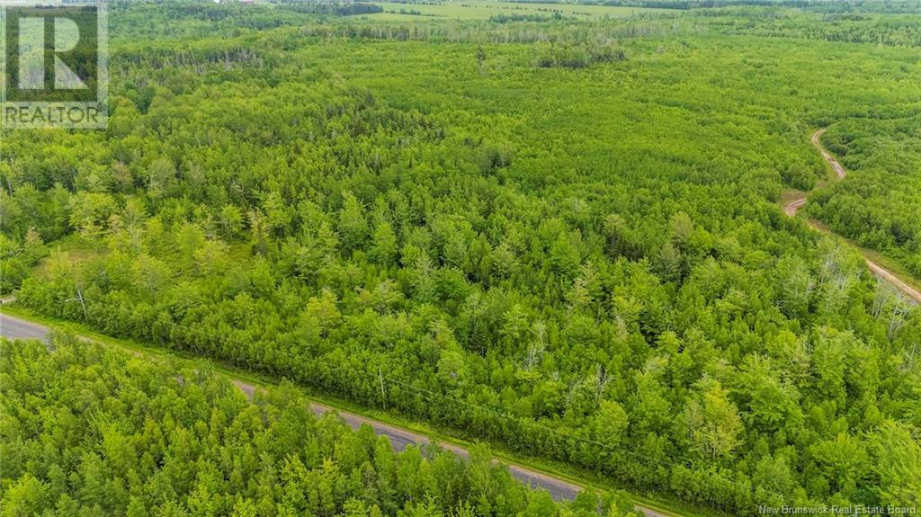 Lot 17-2 Collins Lake Road, Shemogue, New Brunswick  E4N 2N1 - Photo 7 - NB121209