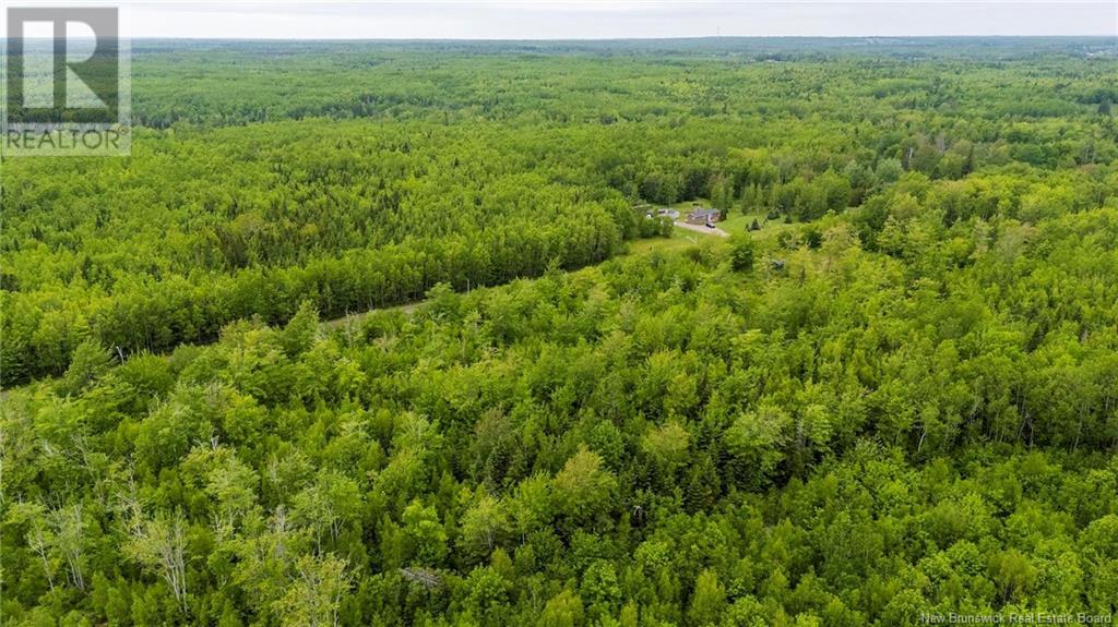 Lot 17-2 Collins Lake Road, Shemogue, New Brunswick  E4N 2N1 - Photo 9 - NB121209