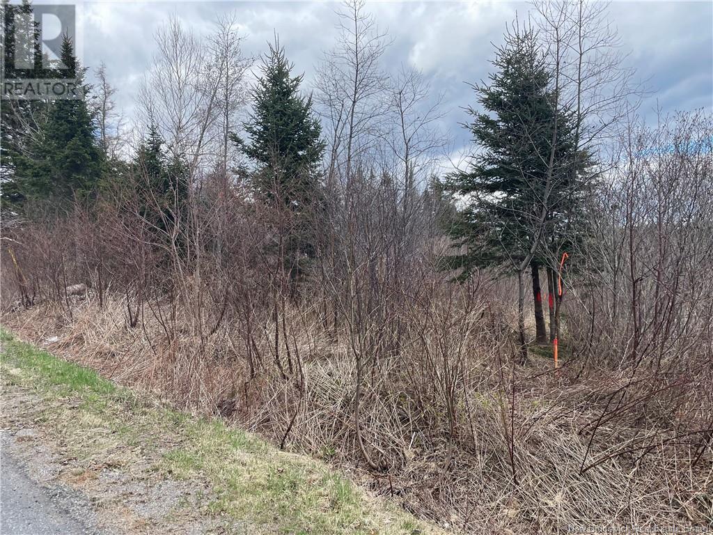 Lot 2 Mcgraw Road, Bains Corner, New Brunswick  E5R 1R7 - Photo 10 - NB121414