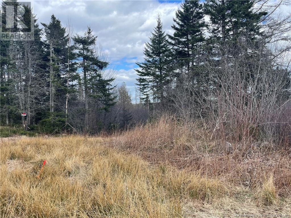 Lot 2 Mcgraw Road, Bains Corner, New Brunswick  E5R 1R7 - Photo 4 - NB121414