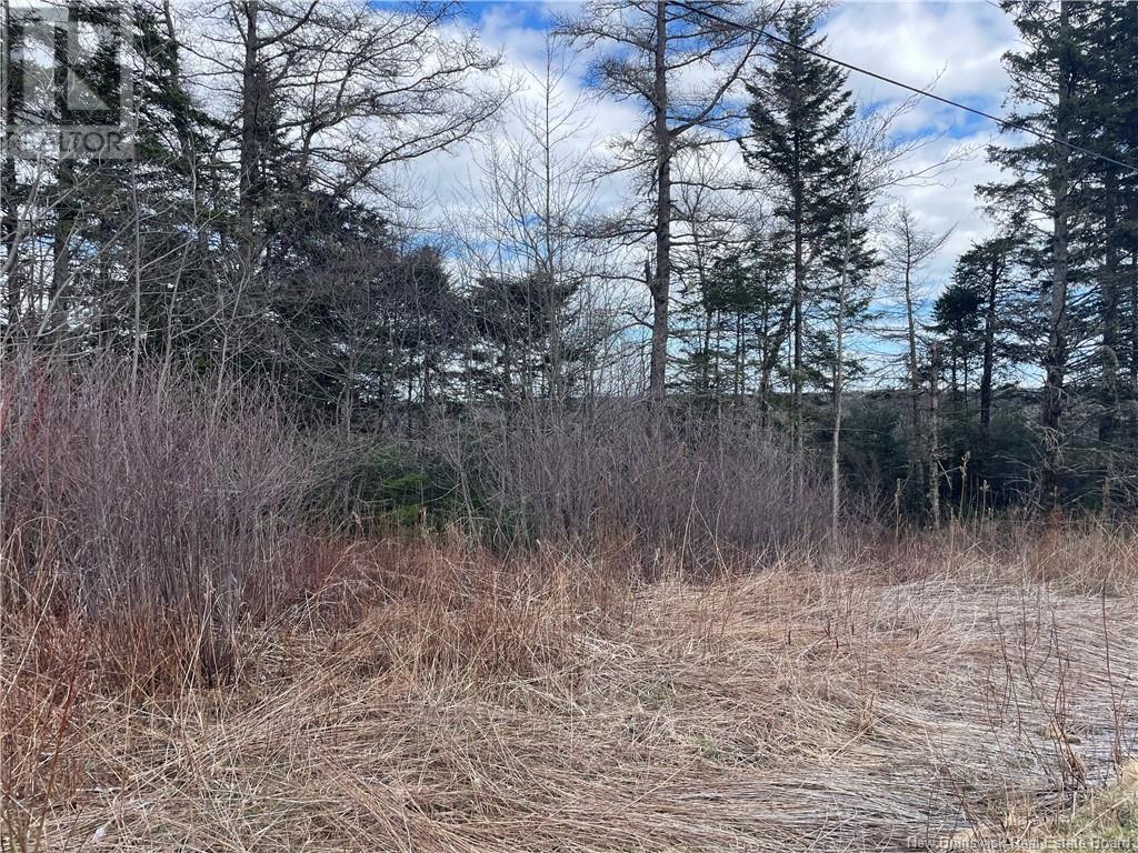 Lot 2 Mcgraw Road, Bains Corner, New Brunswick  E5R 1R7 - Photo 6 - NB121414
