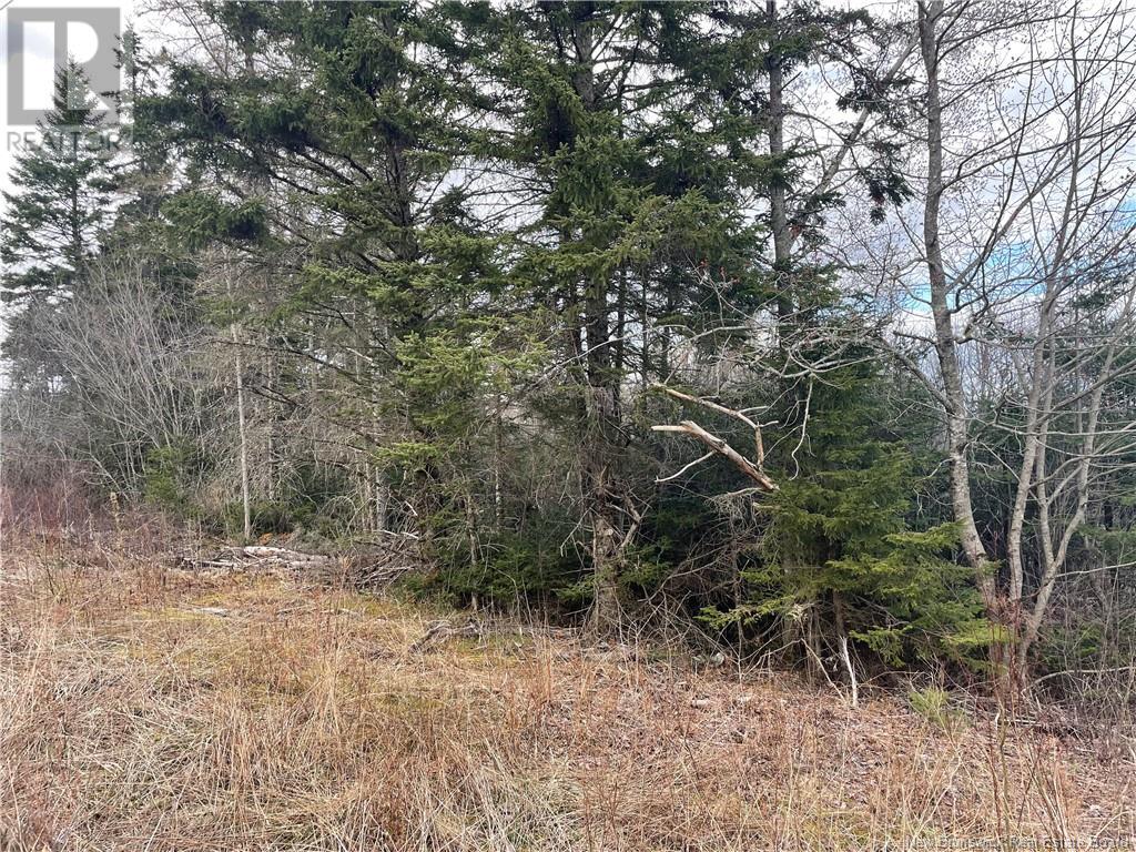 Lot 2 Mcgraw Road, Bains Corner, New Brunswick  E5R 1R7 - Photo 7 - NB121414