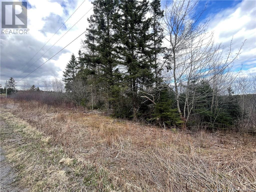 Lot 2 Mcgraw Road, Bains Corner, New Brunswick  E5R 1R7 - Photo 8 - NB121414