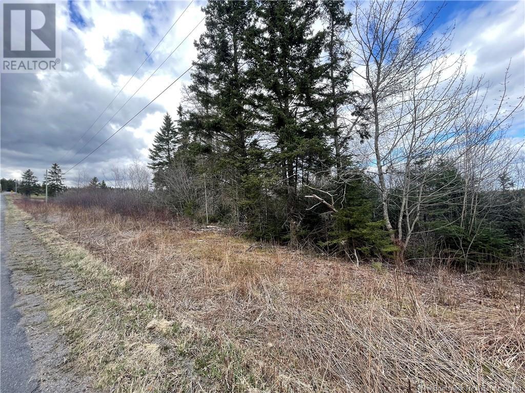 Lot 2 Mcgraw Road, Bains Corner, New Brunswick  E5R 1R7 - Photo 9 - NB121414