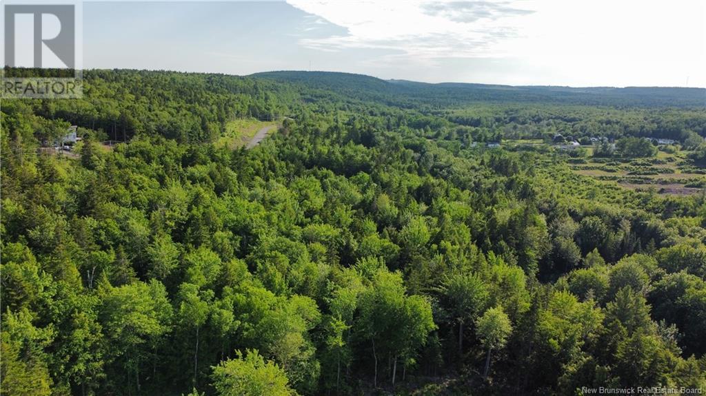 Lot 21-58 Orchard Avenue, Irishtown, New Brunswick  E1H 0J5 - Photo 5 - NB121431