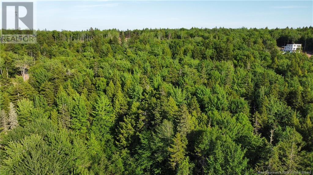 Lot 21-43 Orchard Avenue, Irishtown, New Brunswick  E1H 0J5 - Photo 11 - NB121428