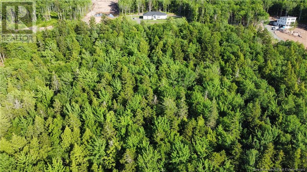 Lot 21-43 Orchard Avenue, Irishtown, New Brunswick  E1H 0J5 - Photo 5 - NB121428