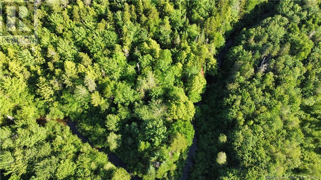 Lot 21-43 Orchard Avenue, Irishtown, New Brunswick  E1H 0J5 - Photo 8 - NB121428