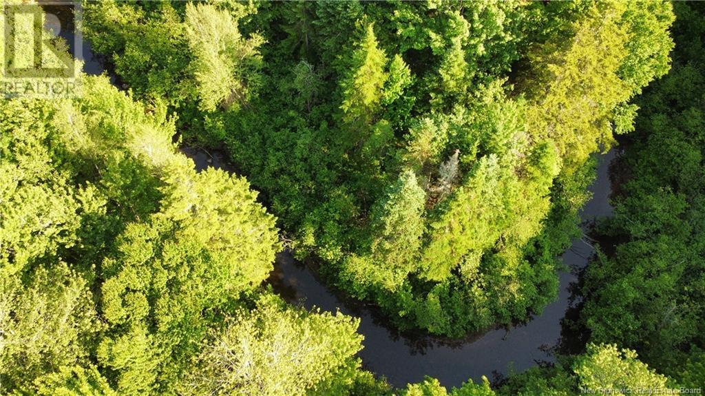 Lot 21-43 Orchard Avenue, Irishtown, New Brunswick  E1H 0J5 - Photo 9 - NB121428