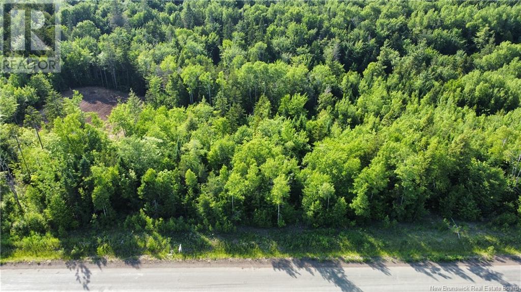 Lot 21-39 Orchard Avenue, Irishtown, New Brunswick