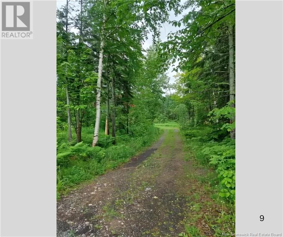 717 Chemin Laplante, Alcida, New Brunswick  E8J 2C4 - Photo 11 - NB121435