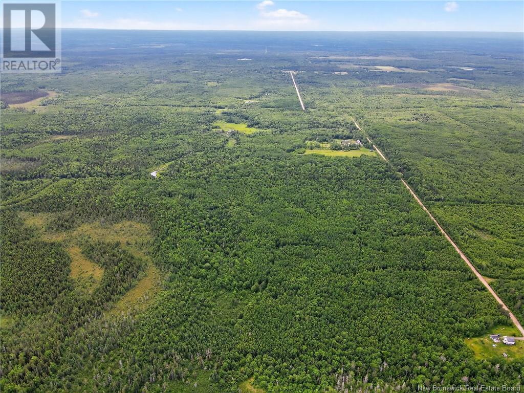 Lot Saint-Augustine, Adamsville, New Brunswick  E4T 2E8 - Photo 10 - NB121461