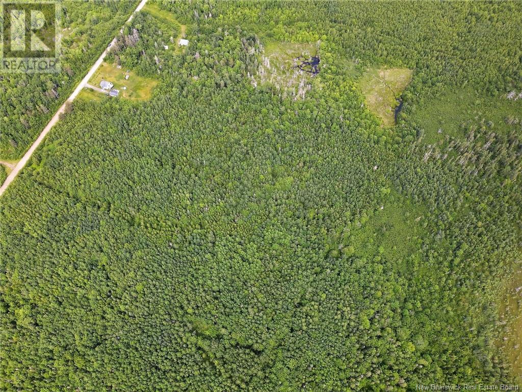 Lot Saint-Augustine, Adamsville, New Brunswick  E4T 2E8 - Photo 11 - NB121461