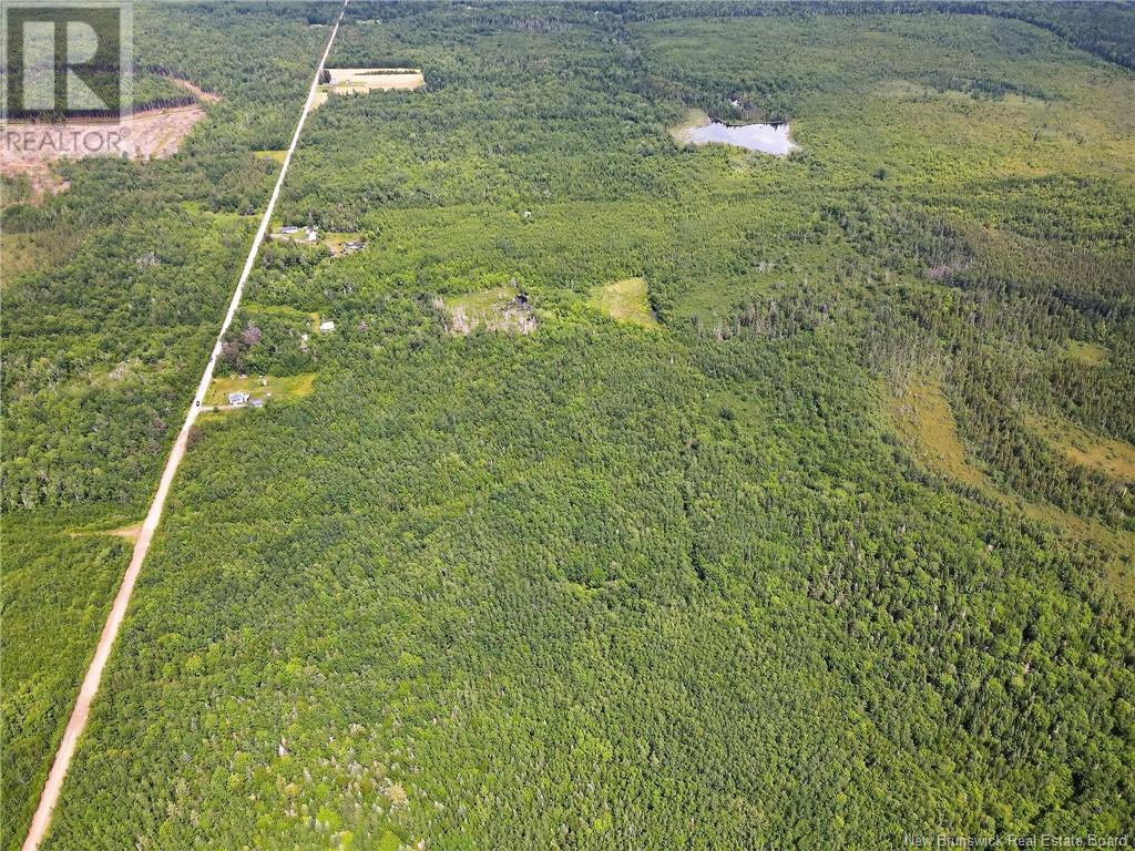 Lot Saint-Augustine, Adamsville, New Brunswick  E4T 2E8 - Photo 13 - NB121461