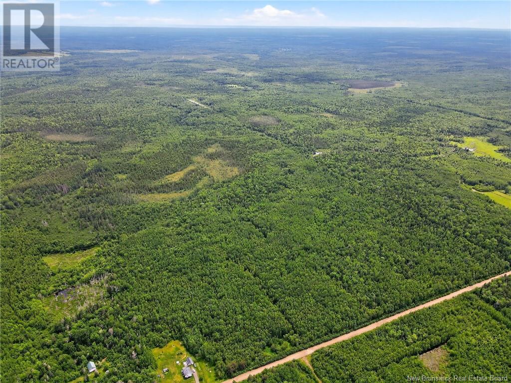 Lot Saint-Augustine, Adamsville, New Brunswick  E4T 2E8 - Photo 6 - NB121461