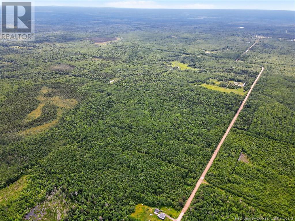 Lot Saint-Augustine, Adamsville, New Brunswick  E4T 2E8 - Photo 8 - NB121461