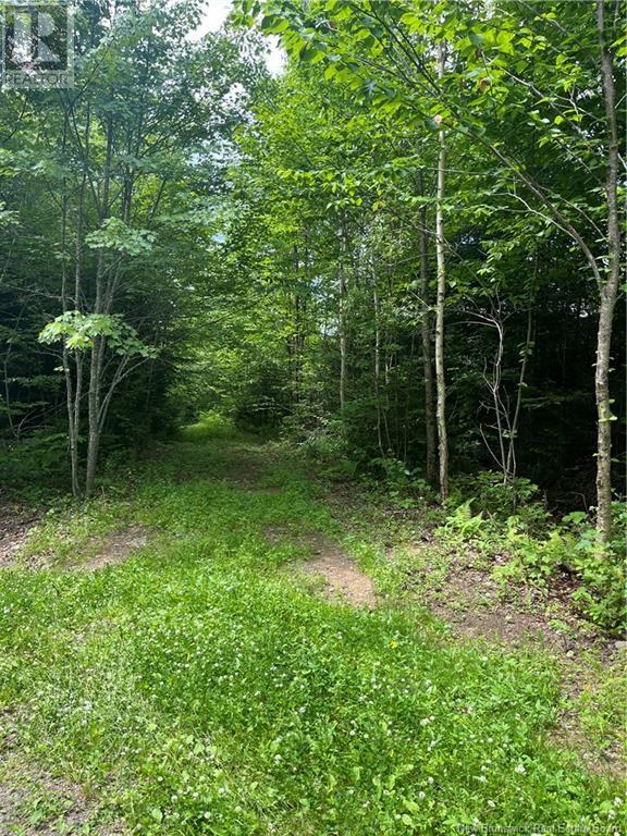 Dagnino Road, Snider Mountain, New Brunswick