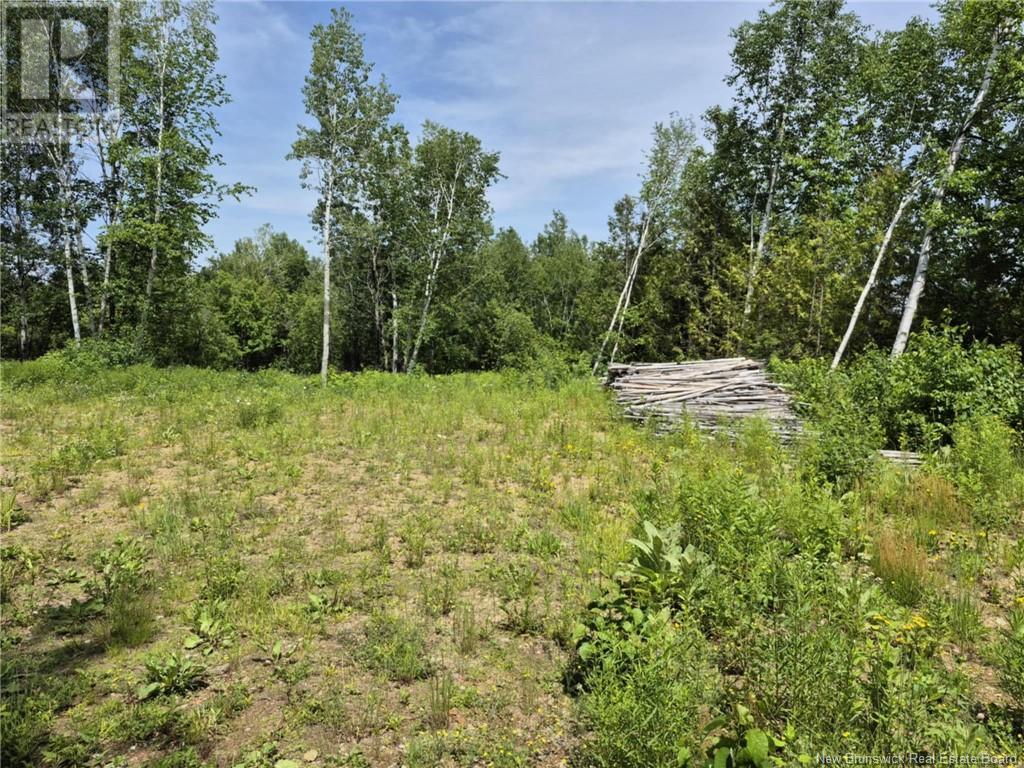 1 Acres Rue Amos, Sainte-Anne, New Brunswick  E2A 7A5 - Photo 2 - NB121384