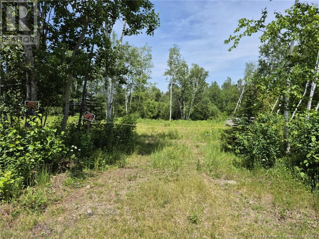 1 Acres Rue Amos, Sainte-Anne, New Brunswick  E2A 7A5 - Photo 3 - NB121384