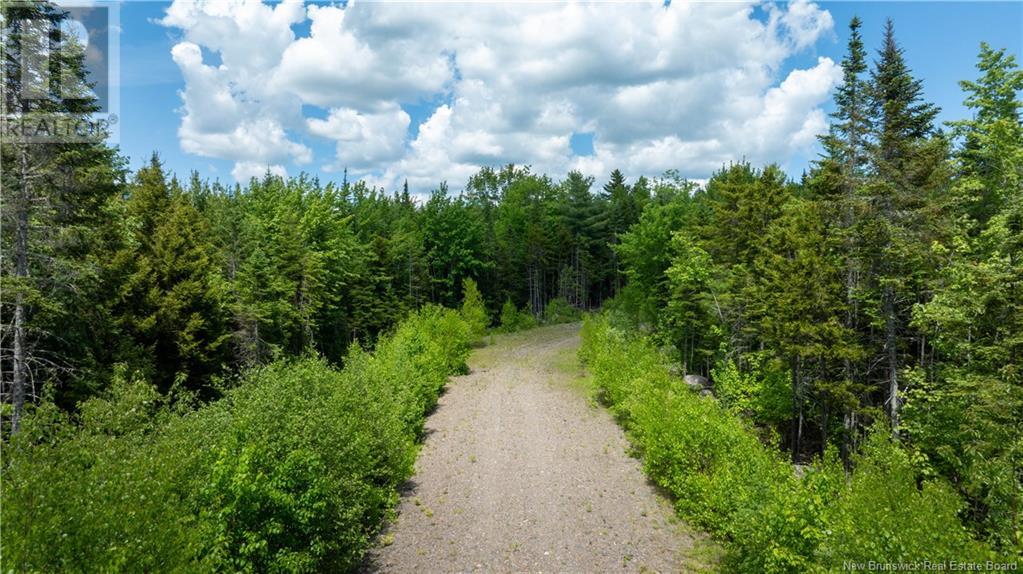 Lot 2011-1 Campbell Road, Nerepis, New Brunswick  E5K 3W3 - Photo 6 - NB121241