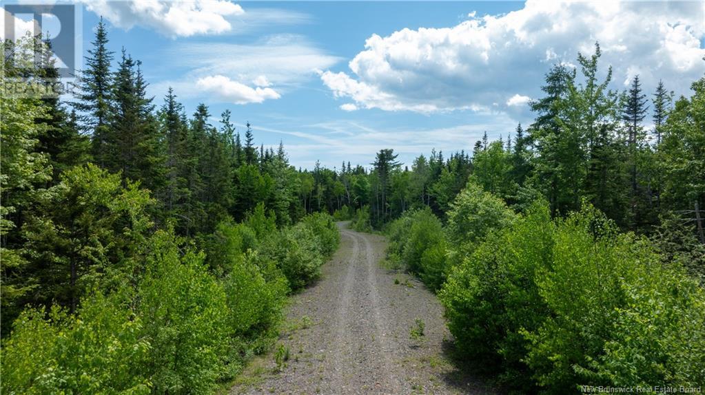 Lot 2011-1 Campbell Road, Nerepis, New Brunswick  E5K 3W3 - Photo 7 - NB121241