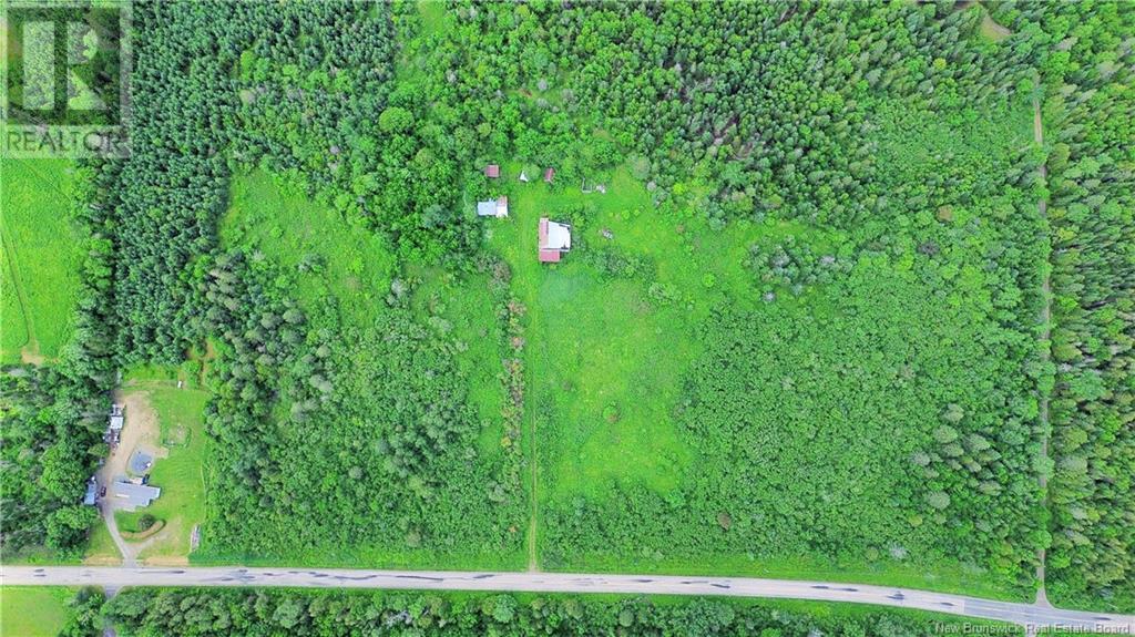 Lot Route 540, Kirkland, New Brunswick  E7N 2K3 - Photo 10 - NB121369