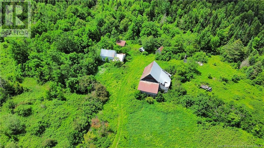 Lot Route 540, Kirkland, New Brunswick  E7N 2K3 - Photo 11 - NB121369