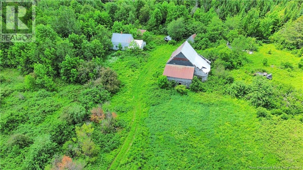 Lot Route 540, Kirkland, New Brunswick  E7N 2K3 - Photo 12 - NB121369