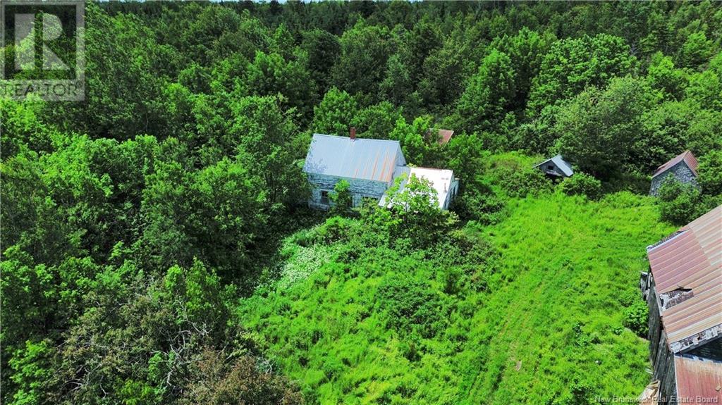 Lot Route 540, Kirkland, New Brunswick  E7N 2K3 - Photo 13 - NB121369