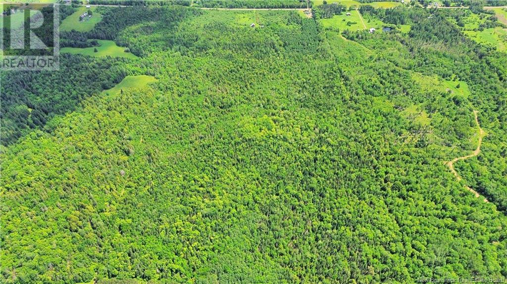 Lot Route 540, Kirkland, New Brunswick  E7N 2K3 - Photo 2 - NB121369