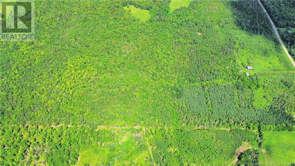 Lot Route 540, Kirkland, New Brunswick  E7N 2K3 - Photo 5 - NB121369
