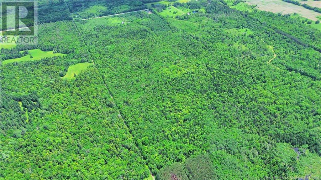 Lot Route 540, Kirkland, New Brunswick  E7N 2K3 - Photo 8 - NB121369
