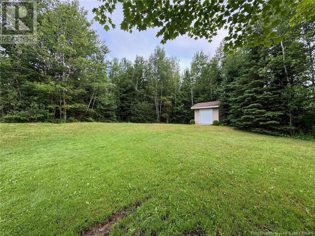 63 King Street, Petitcodiac, New Brunswick  E4Z 4K9 - Photo 14 - NB121484