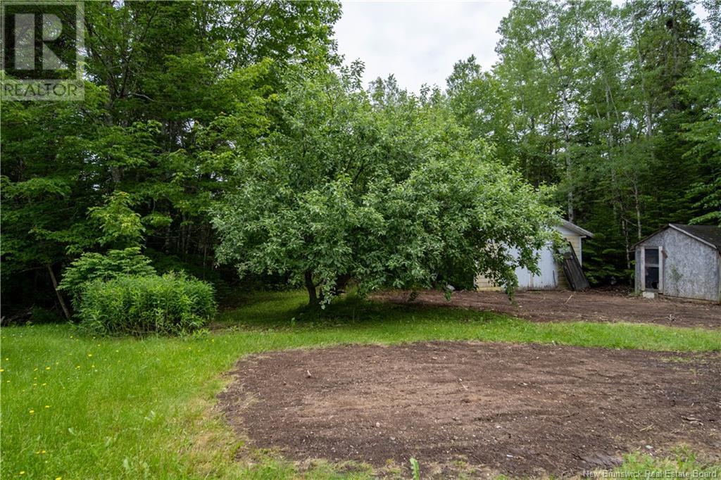 159 Route 905 Route, Forest Glen, New Brunswick  E4Z 6C2 - Photo 28 - NB121337