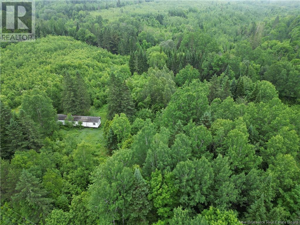 116 Kincardine Road, Perth-Andover, New Brunswick  E7H 2K4 - Photo 5 - NB121514