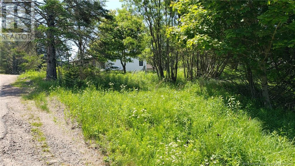 616 Main Street, Beaver Harbour, New Brunswick  E5H 1N9 - Photo 2 - NB121569
