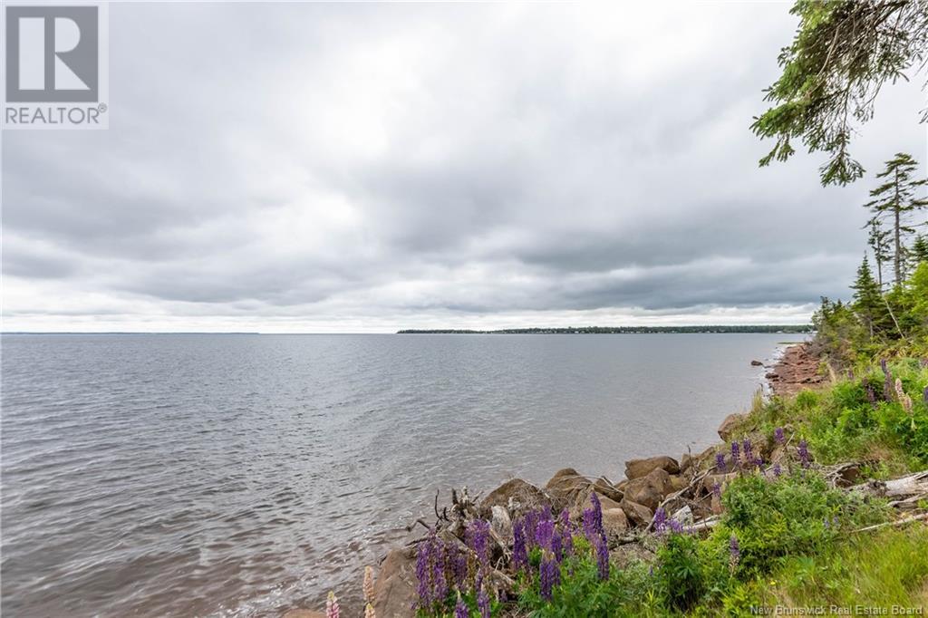 6 Wood's Beach Lane, Baie Verte, New Brunswick  E4M 1N1 - Photo 46 - NB121575