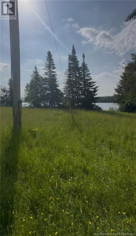 0 Third Lake Road, Barnesville, New Brunswick  E5N 2N4 - Photo 6 - NB121602