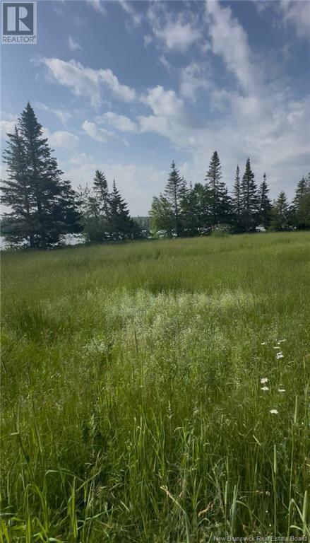 0 Third Lake Road, Barnesville, New Brunswick  E5N 2N4 - Photo 8 - NB121602