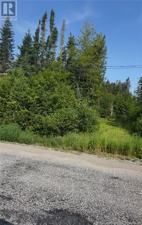 0 Third Lake Road, Barnesville, New Brunswick  E5N 2N4 - Photo 9 - NB121602