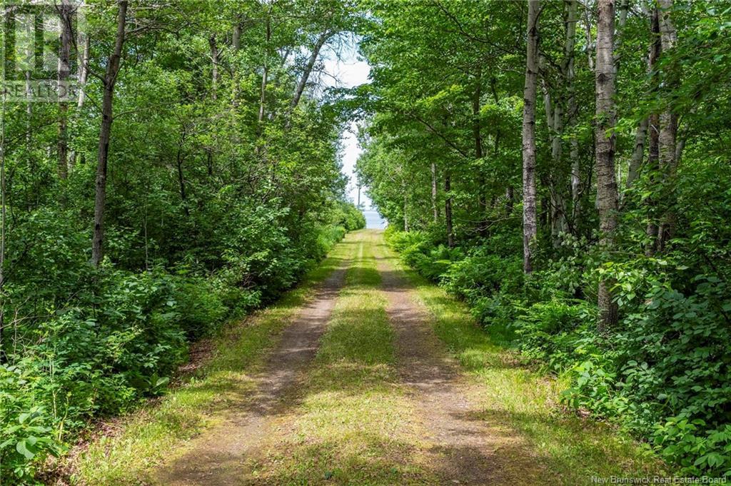 5340 117 Route, Baie-Sainte-Anne, New Brunswick  E9A 1C9 - Photo 45 - NB121319