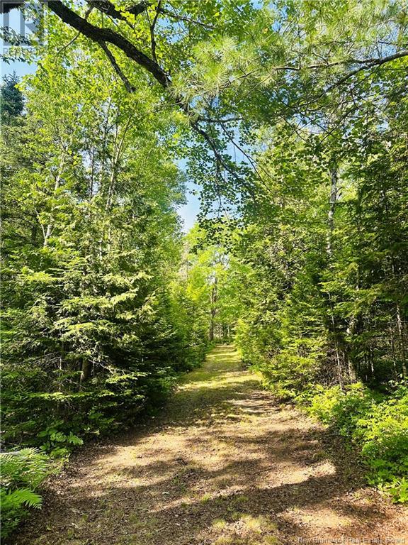 127 Route, Waweig, New Brunswick  E3L 4P2 - Photo 11 - NB121631