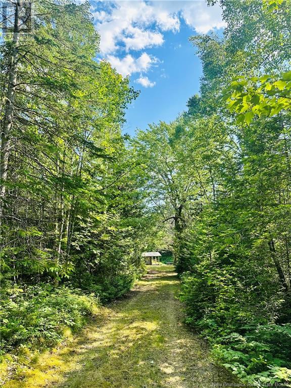 127 Route, Waweig, New Brunswick  E3L 4P2 - Photo 12 - NB121631