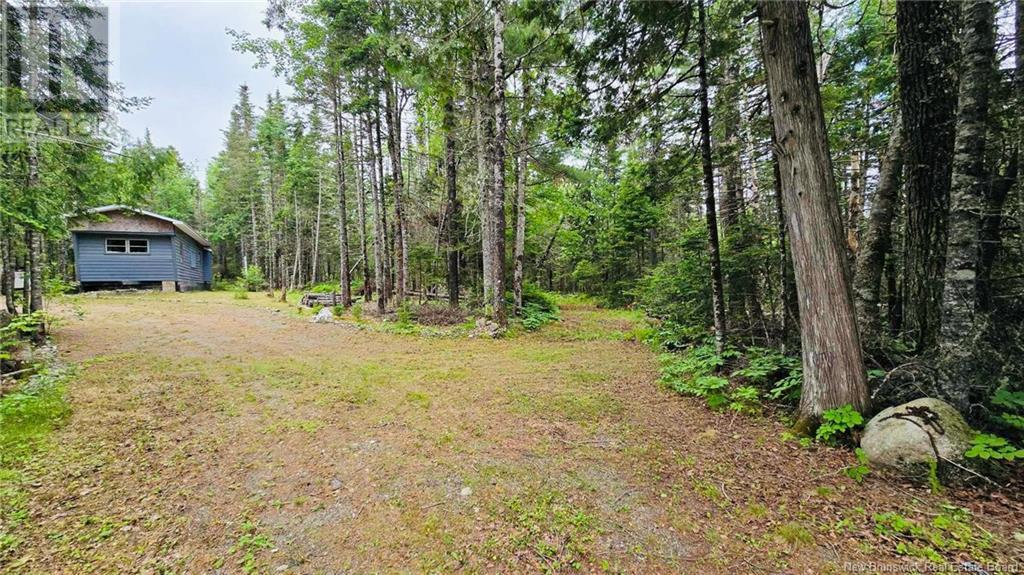 127 Route, Waweig, New Brunswick  E3L 4P2 - Photo 22 - NB121631