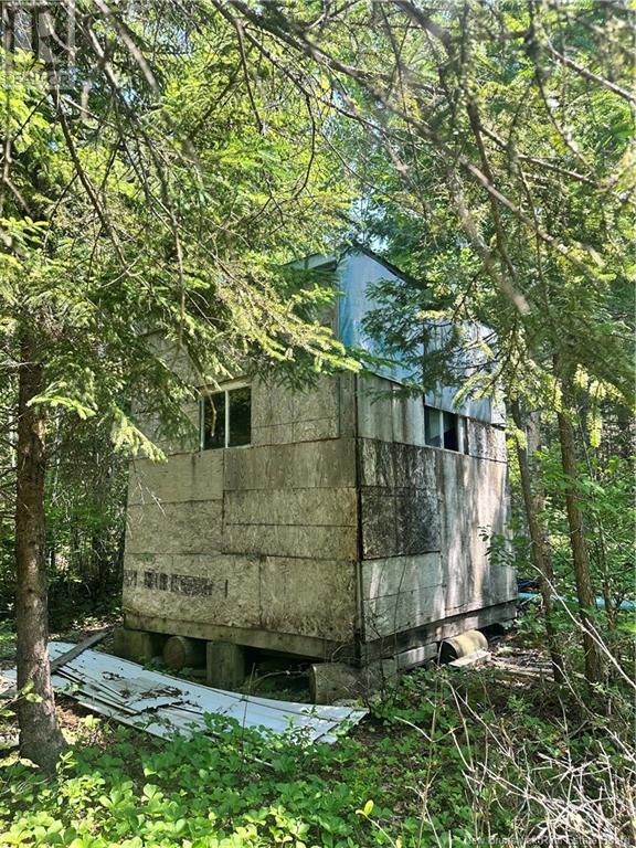 127 Route, Waweig, New Brunswick  E3L 4P2 - Photo 34 - NB121631