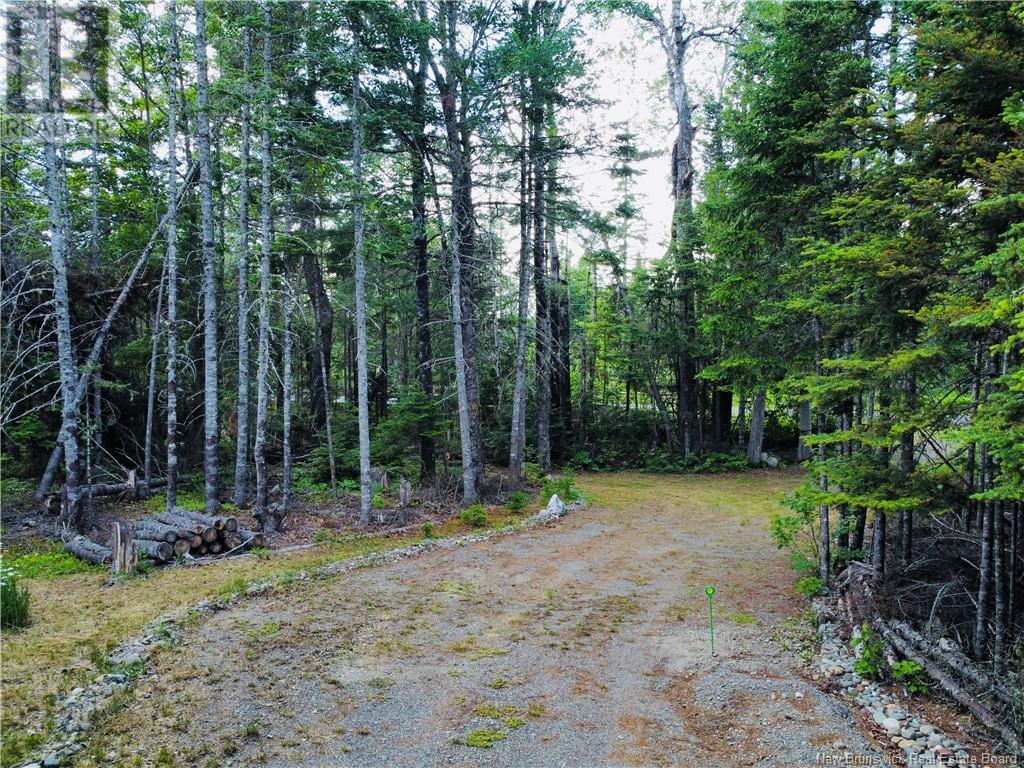 127 Route, Waweig, New Brunswick  E3L 4P2 - Photo 35 - NB121631