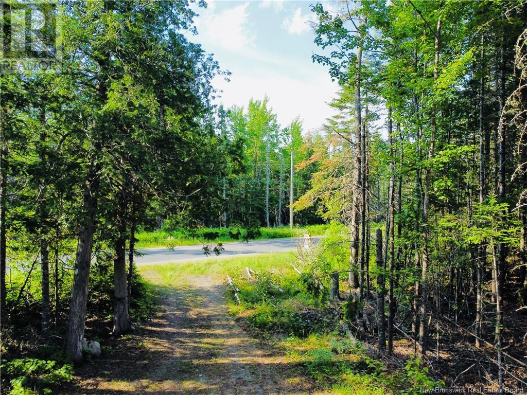 127 Route, Waweig, New Brunswick  E3L 4P2 - Photo 36 - NB121631
