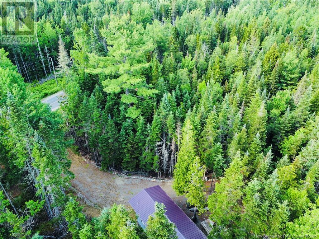 127 Route, Waweig, New Brunswick  E3L 4P2 - Photo 37 - NB121631