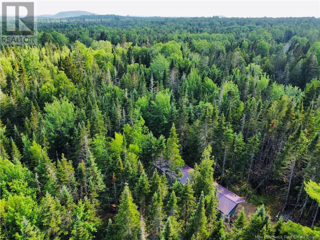 127 Route, Waweig, New Brunswick  E3L 4P2 - Photo 38 - NB121631