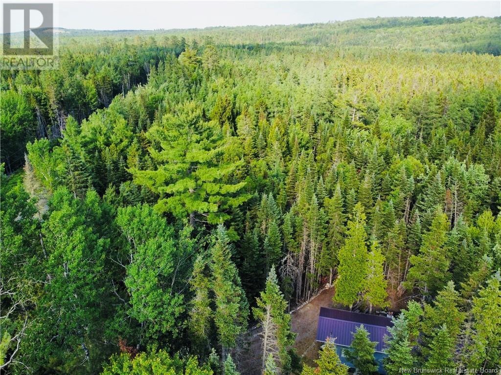 127 Route, Waweig, New Brunswick  E3L 4P2 - Photo 40 - NB121631